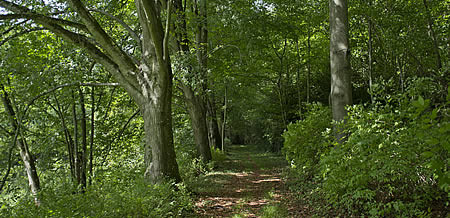 Faire son sacré chemin