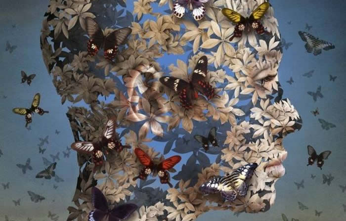 profil humain avec papillons