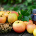 pommes et pot de confiture