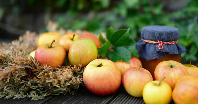 pommes et pot de confiture