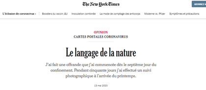 Article New York Times, capture écran