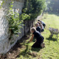 personnes travaillant au jardin, samu