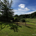 Le parc, en route vers la forêt, Assise, St gervais 95 - portes ouvertes le 3 juillet