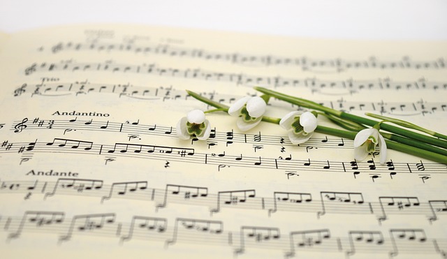 portée de musique et brin de muguet