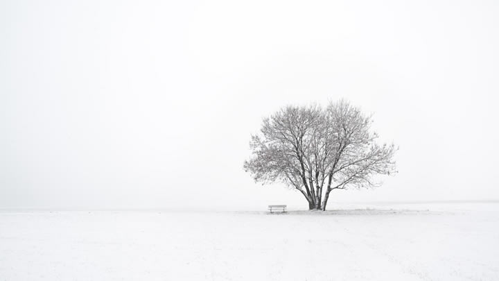 un arbre dans la neige retraite spirituelle