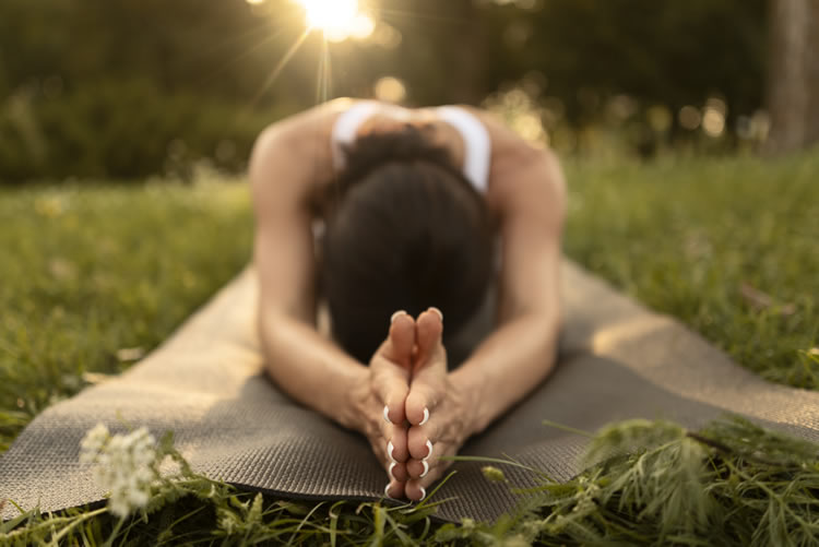 stage de Yoga, magny en vexin