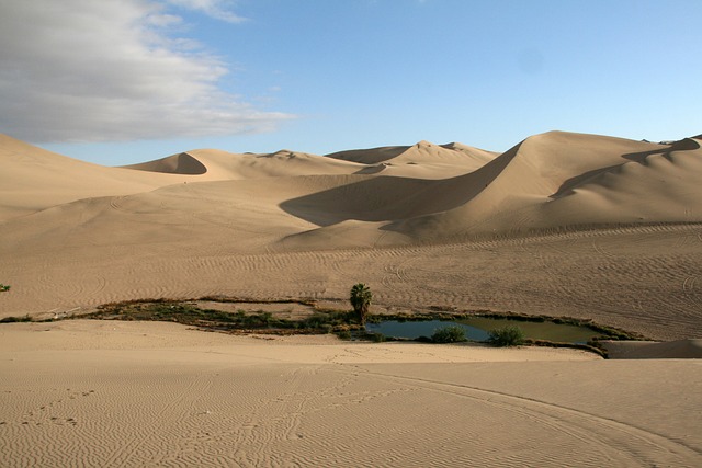 Les Mères du désert, un oasis où se ressourcer