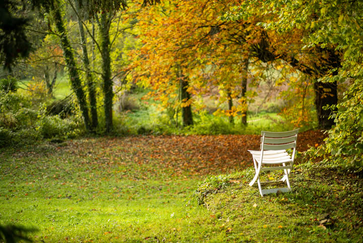 Une allée dans le parc du centre assise, lieu de cheminement spirituel, 95