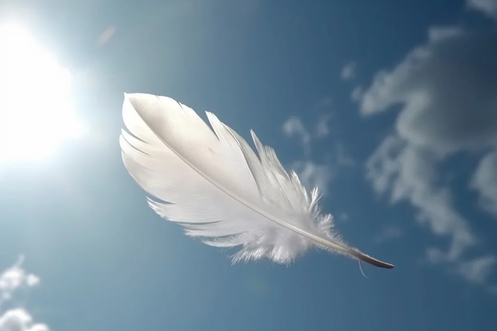 une plume