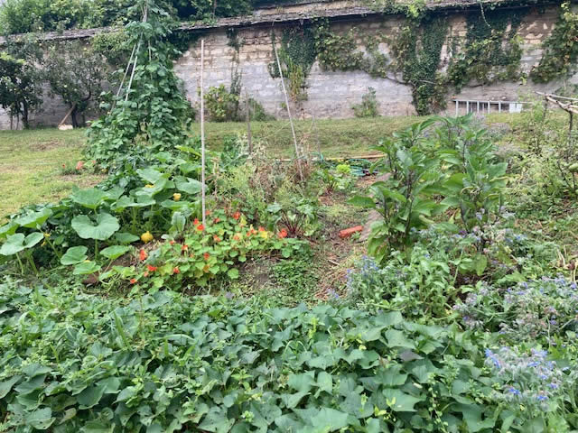 le potager en permaculure à Saint Gervais (95). venez participer