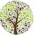 arbre de paix