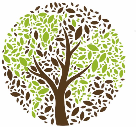 arbre de paix