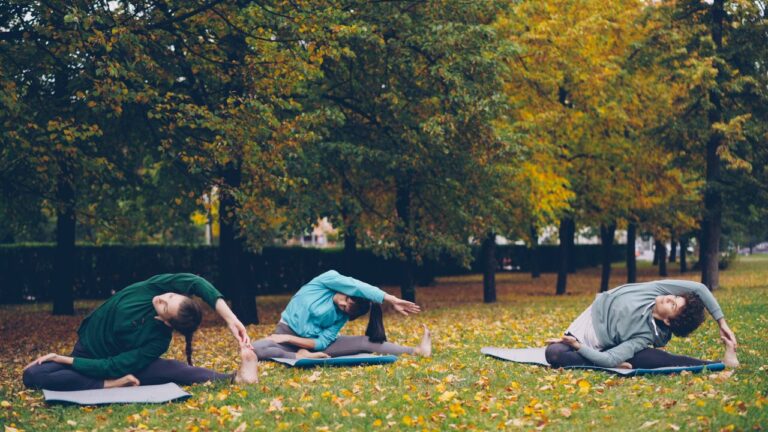 Three people practicing yoga in a park during fall surrounded by trees.
